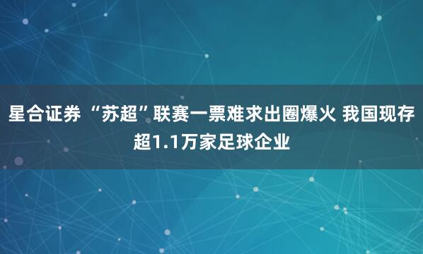 星合证券 “苏超”联赛一票难求出圈爆火 我国现存超1.1万家足球企业